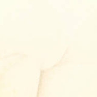 Diary-T 159 　YONEちゃん