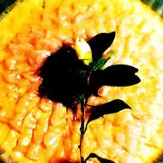 Diary-T 169 「モン・シェリ」