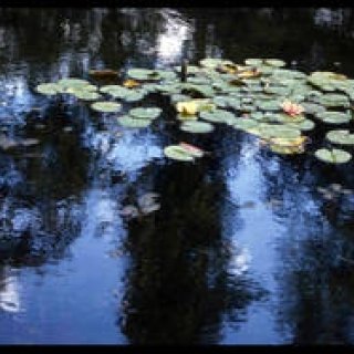 MATSUNAGA Manabu｜Vol.6 クロード・モネ　睡蓮の庭