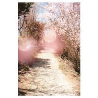 EVENT｜写真家 大森克己 新作プロジェクト「すべては初めて起こる」