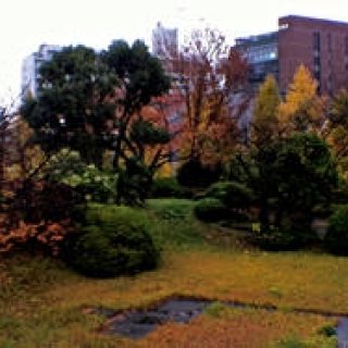 Diary-T 176　 ありがとうの日