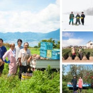 ART｜第14回食とアートの会　写真家 木村文吾“beyond the dish”