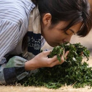 MOVIE｜映画『種まく旅人～みのりの茶～』田中麗奈インタビュー