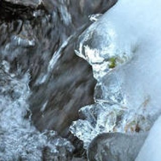 連載・塚田有一│みどりの触知学 第15回 山の冬