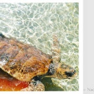 EVENT｜写真家 石川直樹によるトークイベント＠原宿『VACANT』開催！