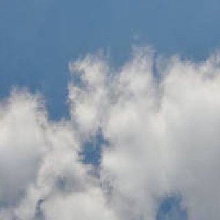 連載・塚田有一│みどりの触知学 第16回 「雨水」の日曜日