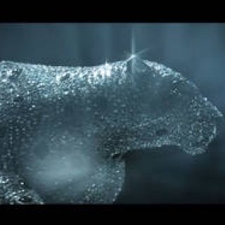 カルティエのメゾン設立165周年を記念したフィルム『L'Odysée de Cartier』｜Cartier