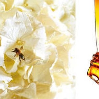 HACCI｜濃密なツヤと香りのシャンプー&コンディショナー