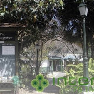 松浦俊夫｜ロングバケーションを締めくくる、オーガニックなグルーヴス