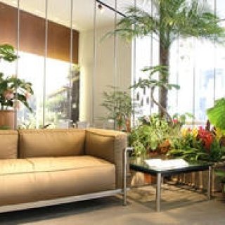 Cassina ixc.|2012年新作展示「URBAN JUNGLE」開催