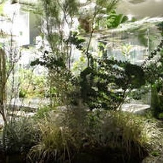 okamura｜建築家・平田晃久×温室・塚田有一「Flow-er」開催