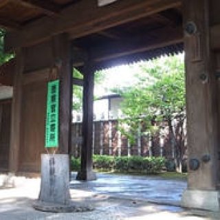 連載・塚田有一│みどりの触知学＜特別編・2012夏＞　朱夏～都会の山中～