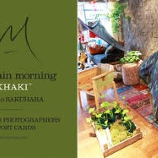 EXHIBITION｜作原文子のプロジェクト「mountain morning - khaki - by Fumiko Sakuhara」開催