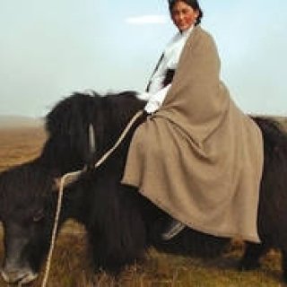 doinel｜北青山ドワネルにて福岡のアンティークショップ「コクトー」イベント開催