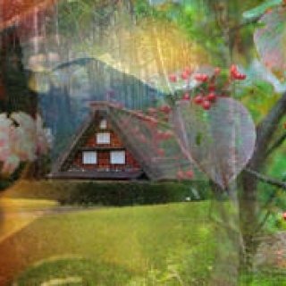 プロフェッショナルと巡る森～岐阜・飛騨地方の自然とアクティビティ～｜特集