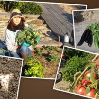 連載・藤原美智子 2012年11月｜“ローフード”が野菜づくりへと広がった！