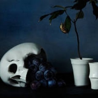 さる山｜whiteは余白の白。濱中史朗展“alternative white”開催