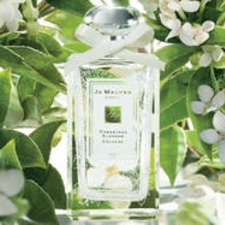 JO MALONE LONDON｜フルーティな甘さと、レザーのアクセントが効いた香り