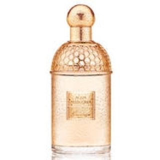 GUERLAIN｜オレンジの木陰で過ごす、満ちたりたひとときを思わせる香り