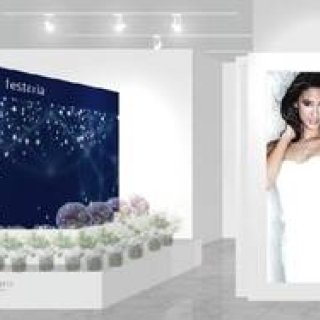 Forevermark｜七夕にちなんだ“願いが叶う”フェア開催