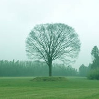 EVENT｜星の集まるキャンプ場「一番星ヴィレッジ」、夏期限定オープン