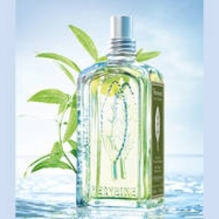 L'OCCITANE｜極めて新鮮。ピュアシトラスの「新ヴァーベナ」完成！