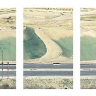 ART FILE 22｜「Mutation」｜連載「世界のアート展から」