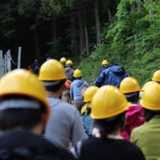 more trees×丸の内朝大学｜「アーバン木こりクラス」を密着取材