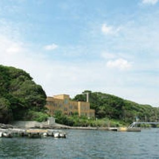 MIKIMOTO｜真珠発明120周年 “真珠の学校”第2弾