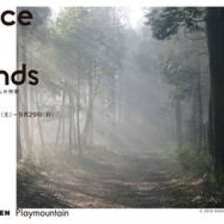 Trace of Hands｜笠間と益子の19人の作家による 陶芸と木工の作品展