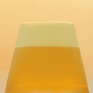 LIVING EDITION｜デザイナー鈴木啓太の作品が一堂に集結