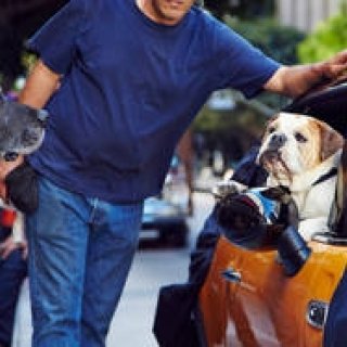 新型MINI、CMの主役はブルドッグ｜MINI