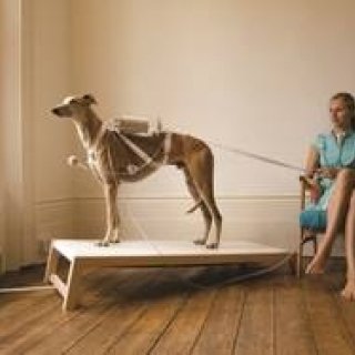 ART｜東京アートミーティング『うさぎスマッシュ展 世界に触れる方法』