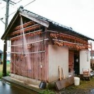 ART｜金沢21世紀美術館『島袋道浩:能登』