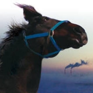 MOVIE｜国際映画祭『東京フィルメックス』が今年も開幕