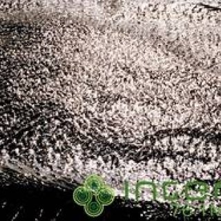 松浦俊夫｜HEXついにアルバム・リリース！