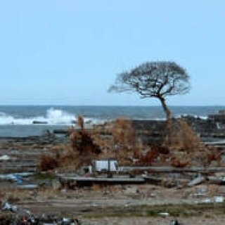 MOVIE｜ユーロスペースで特集上映『連帯、そして再生――福島』