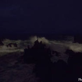 ART｜ギャラリー916で上田義彦写真展『M.Sea』『M.Venus』