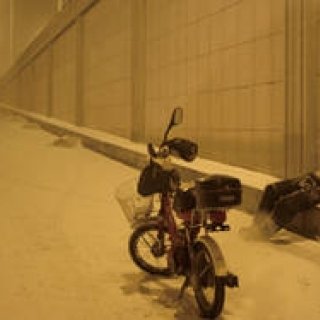 特集｜2014年国際映画祭速報｜ベルリン国際映画祭