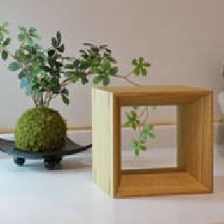 Forest Notes｜「感性の森2014展」開催