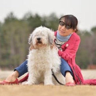 愛犬と一緒に「ザ・ビートル・カブリオレ」と過ごす時間｜Volkswagen 