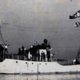 MOVIE｜「グリーンイメージ国際環境映像祭」開催！