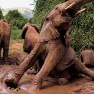 BOOK｜ドキュメンタリー写真の歴史を物語る完全保存版「プレミアム フォト コレクション」