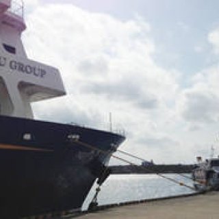 TRAVEL｜週末、縄文杉に会いに行く