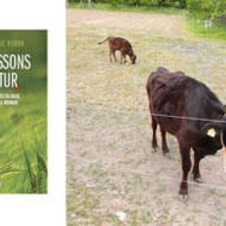 霜里農場｜有機農業から広がる地域活性化