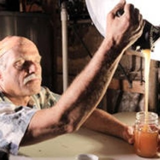 MOVIE｜マークス・イムホーフ監督、ミツバチが消えた謎を追うドキュメンタリー『みつばちの大地』