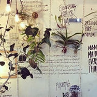 CURATOR’S CUBE｜原種の蘭とグラフィックによるエキシビション