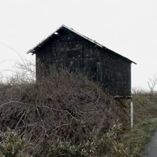 ART｜IMAギャラリーでグループ展『THE STREET GOES ON』