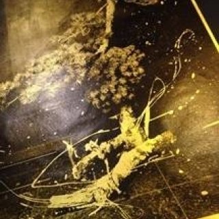 ART｜川上シュン個展『shun kawakami, between art and design展』