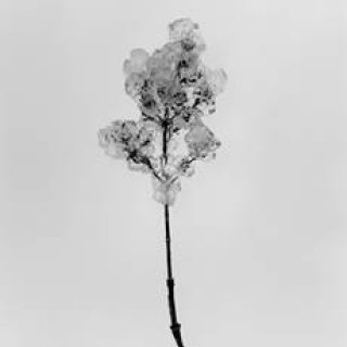 ART｜細倉真弓『Transparency is the new mystery』展をPOSTで開催